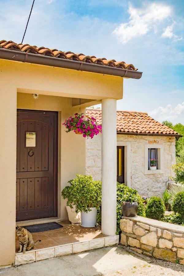 فيلا Haus Stepcich بلومين المظهر الخارجي الصورة